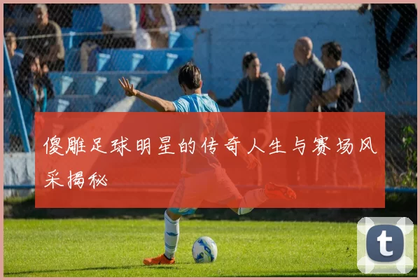傻雕足球明星的传奇人生与赛场风采揭秘