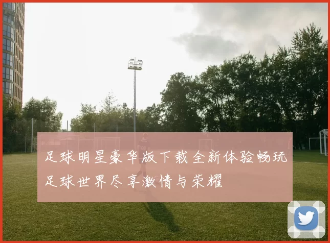 足球明星豪华版下载全新体验畅玩足球世界尽享激情与荣耀