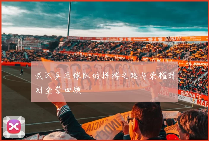 武汉乒乓球队的拼搏之路与荣耀时刻全景回顾
