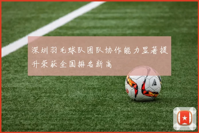 深圳羽毛球队团队协作能力显著提升荣获全国排名新高