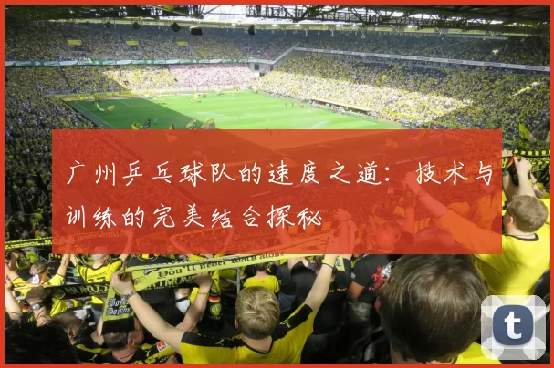广州乒乓球队的速度之道：技术与训练的完美结合探秘