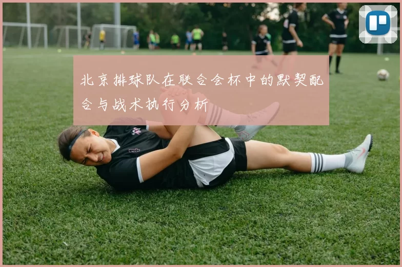 北京排球队在联合会杯中的默契配合与战术执行分析