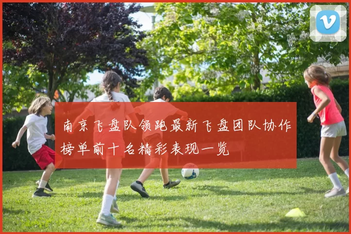 南京飞盘队领跑最新飞盘团队协作榜单前十名精彩表现一览