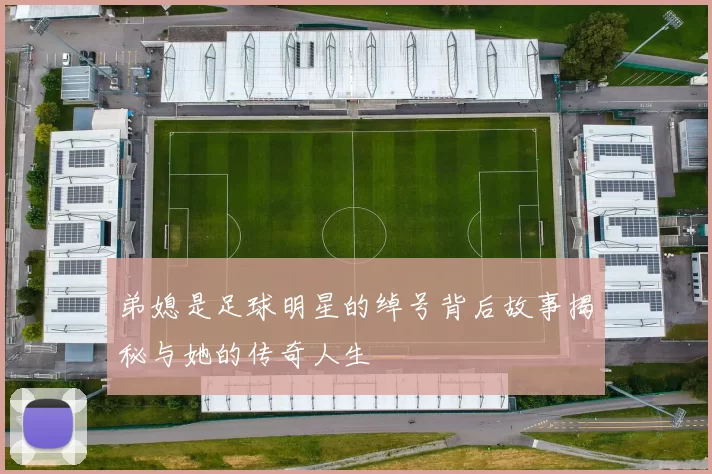弟媳是足球明星的绰号背后故事揭秘与她的传奇人生