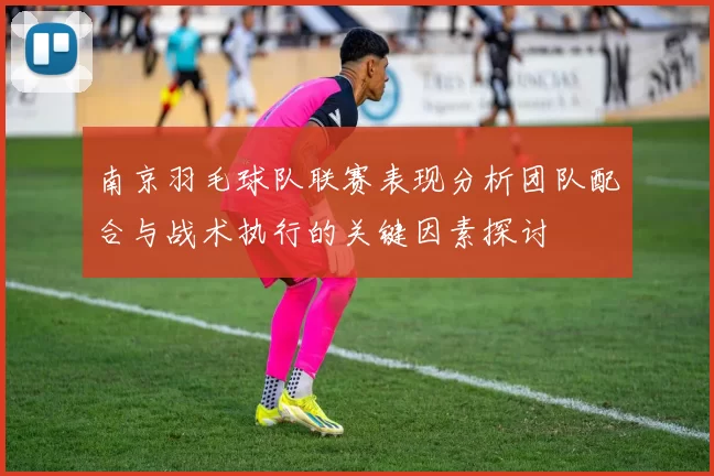 南京羽毛球队联赛表现分析团队配合与战术执行的关键因素探讨