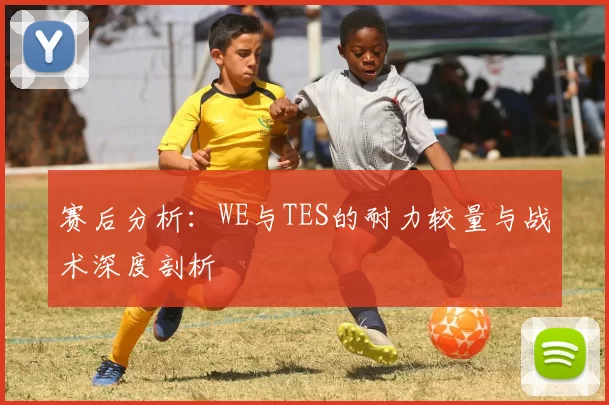 赛后分析：WE与TES的耐力较量与战术深度剖析
