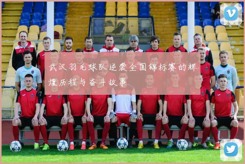 武汉羽毛球队逆袭全国锦标赛的辉煌历程与奋斗故事