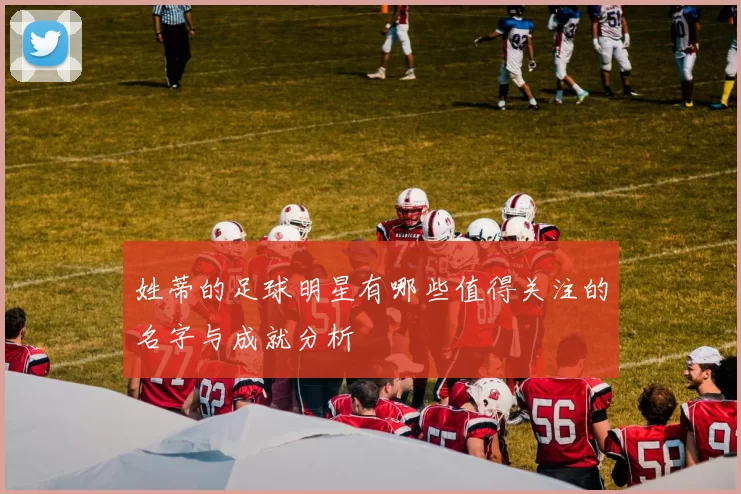 姓蒂的足球明星有哪些值得关注的名字与成就分析