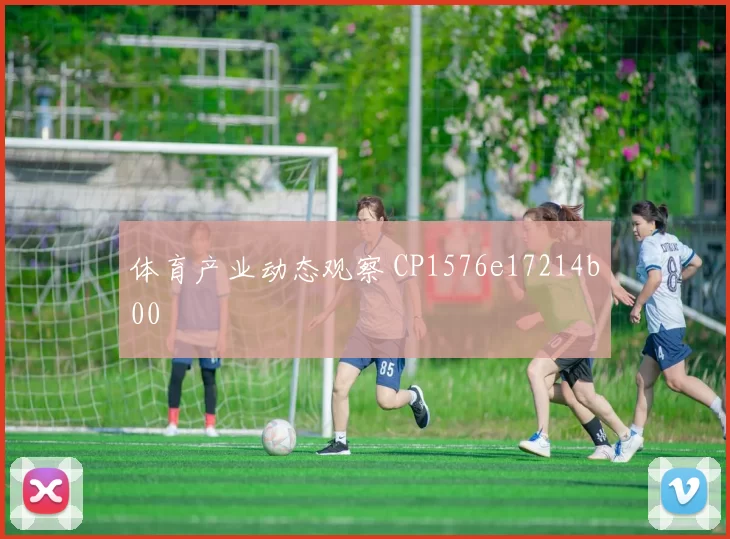 体育产业动态观察 CP1576e17214b00