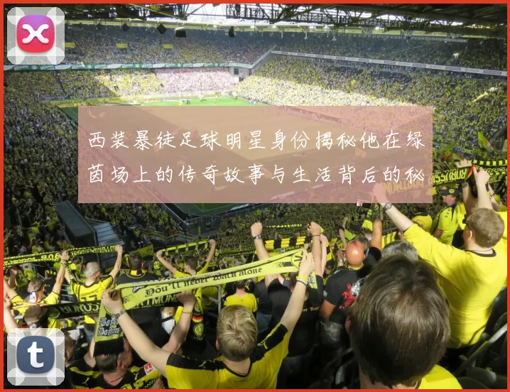 西装暴徒足球明星身份揭秘他在绿茵场上的传奇故事与生活背后的秘密
