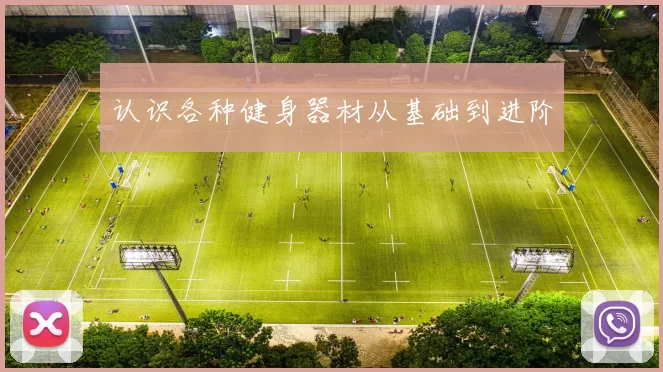 认识各种健身器材从基础到进阶
