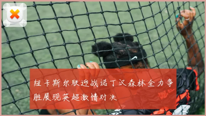 纽卡斯尔联迎战诺丁汉森林全力争胜展现英超激情对决