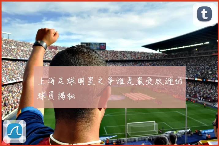 上海足球明星之争谁是最受欢迎的球员揭秘