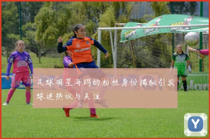 足球明星海鸥的粉丝身份揭秘引发球迷热议与关注