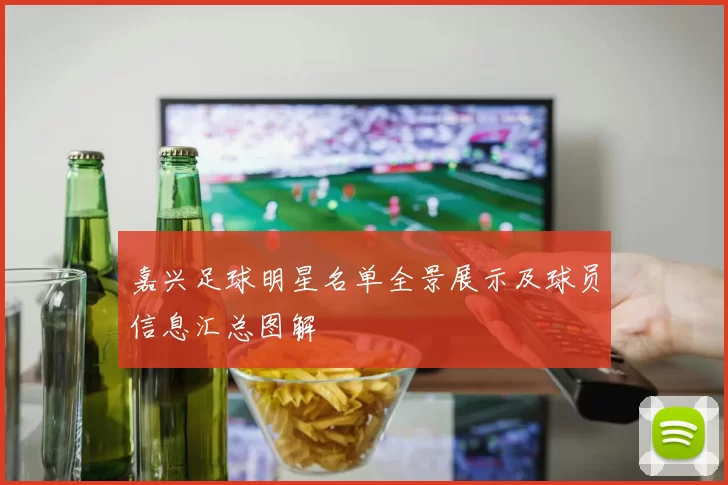 嘉兴足球明星名单全景展示及球员信息汇总图解