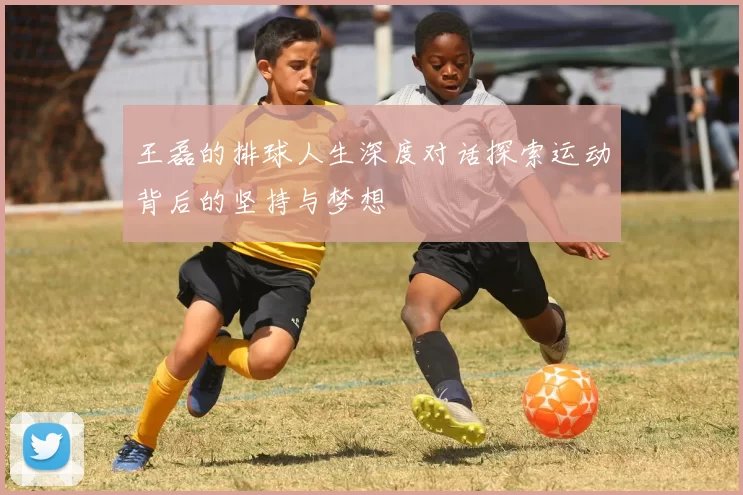 王磊的排球人生深度对话探索运动背后的坚持与梦想