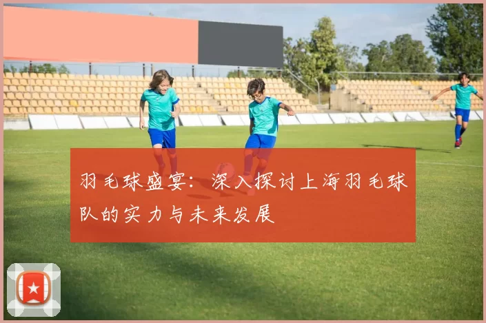 羽毛球盛宴：深入探讨上海羽毛球队的实力与未来发展