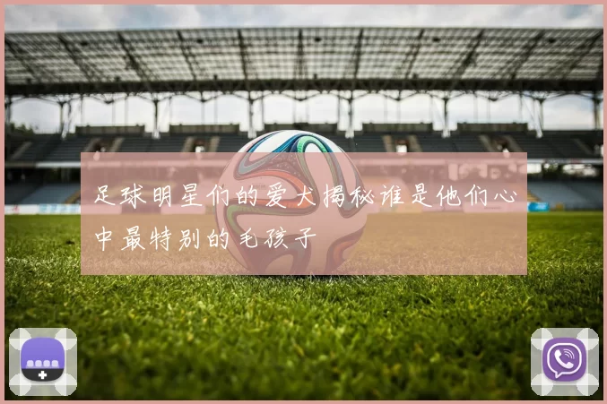 足球明星们的爱犬揭秘谁是他们心中最特别的毛孩子