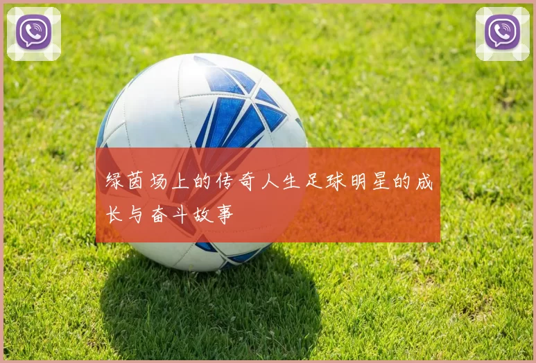 绿茵场上的传奇人生足球明星的成长与奋斗故事