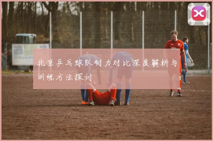 北京乒乓球队耐力对比深度解析与训练方法探讨