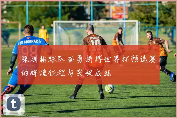 深圳排球队奋勇拼搏世界杯预选赛的辉煌征程与突破成就