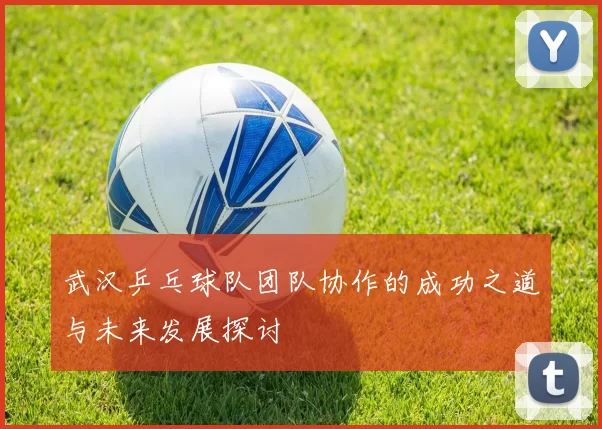 武汉乒乓球队团队协作的成功之道与未来发展探讨