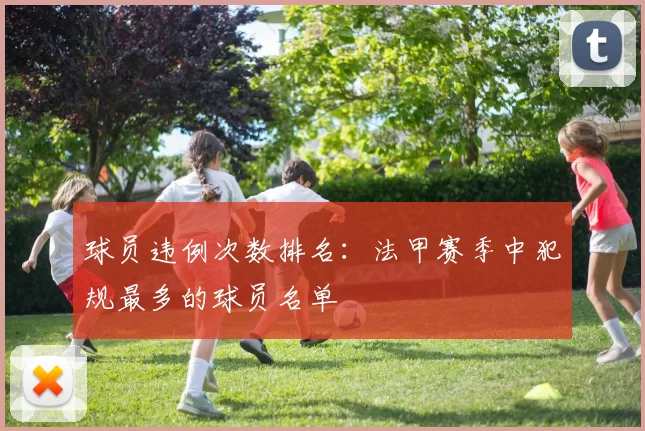 球员违例次数排名：法甲赛季中犯规最多的球员名单