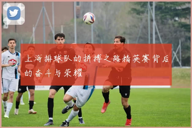 上海排球队的拼搏之路精英赛背后的奋斗与荣耀