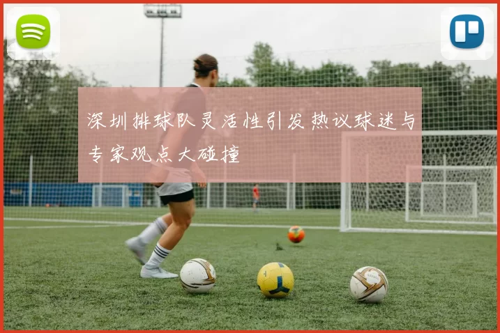 深圳排球队灵活性引发热议球迷与专家观点大碰撞