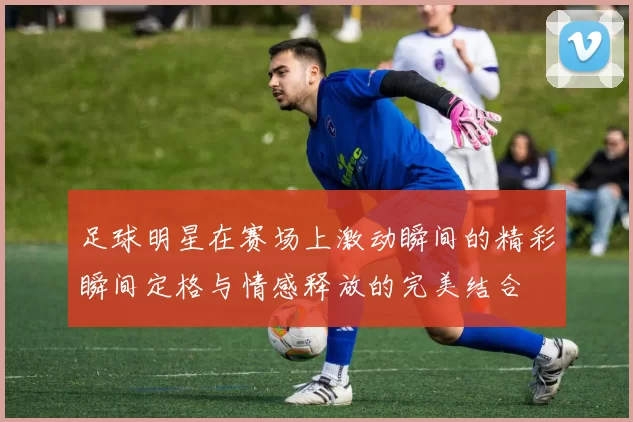 足球明星在赛场上激动瞬间的精彩瞬间定格与情感释放的完美结合