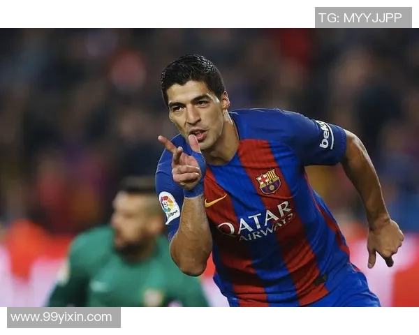 2014世界杯波黑与伊朗激战回顾：一场精彩的足球对决与历史意义