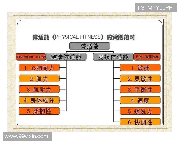 以提升体能为核心，探索全面增强身体素质的科学方法与实践路径