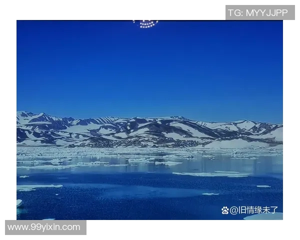 《独行侠：在孤独与荣耀之间的征途与成长》