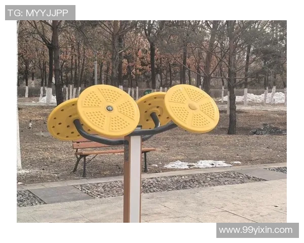 阳刚健身器材：为男性量身打造的健身设备